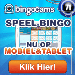 bingo cams